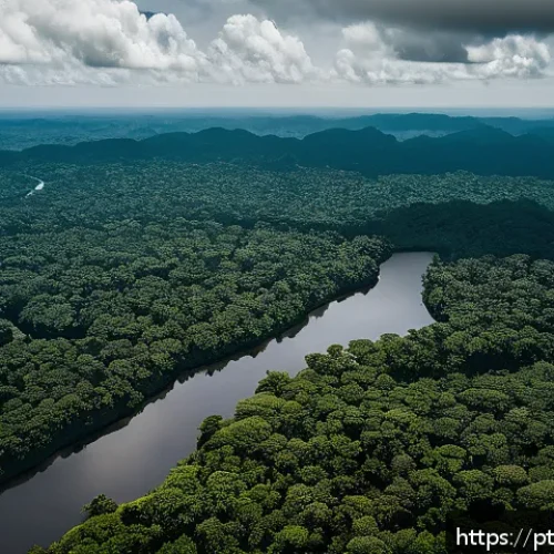Home 17 생태적 전환을 위한 혁신적인 기술 - A detailed aerial view of the Brazilian Amazon rainforest under surveillance by multiple advanced dr...