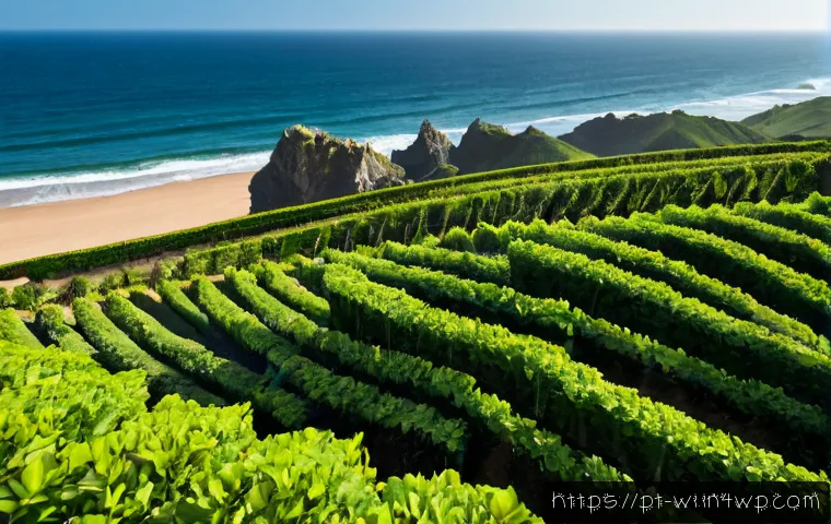 Como transformar espaços devolutos em áreas ecológicas: critérios, custos e opções de projeto 4 폐공간 생태적 전환을 위한 새로운 접근법 관련 이미지 2